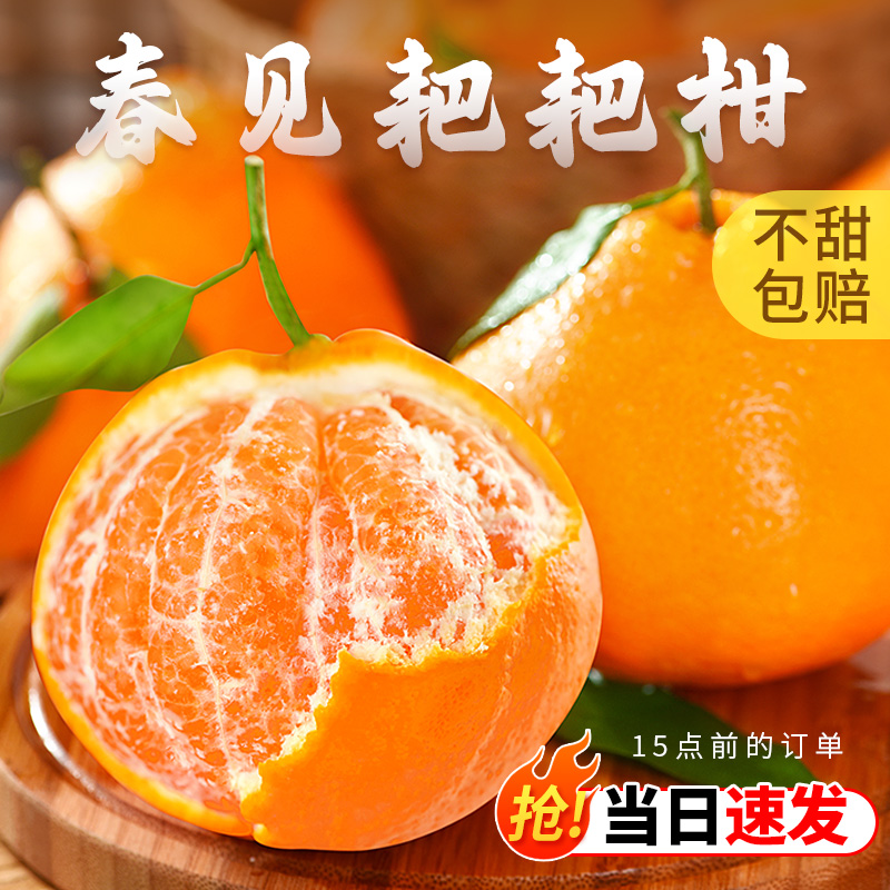四川春见耙耙柑正宗新鲜水果整箱当季现摘现发丑桔橘子爆甜多汁
