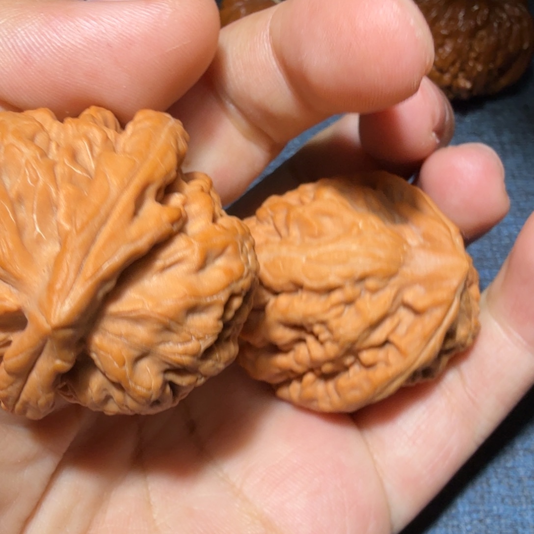 文玩核桃把件癣*堂红锦鲤42尺寸211