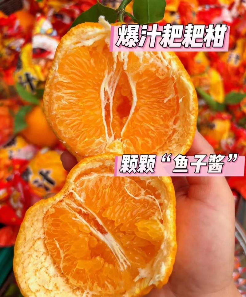 （偏远地区）四川春见耙耙柑当季新鲜现摘现发多汁皮薄肉厚产地直发