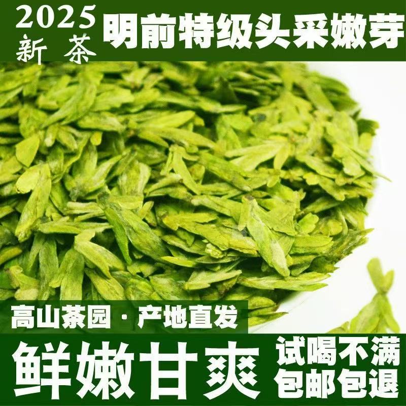 2025年新茶龙井  源头厂家 头春大佛龙井绿茶 豆香型浓香耐泡型