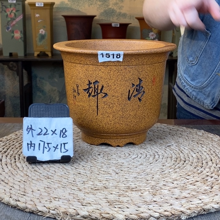 花盆紫砂  柴烧清趣刻绘金钟1518