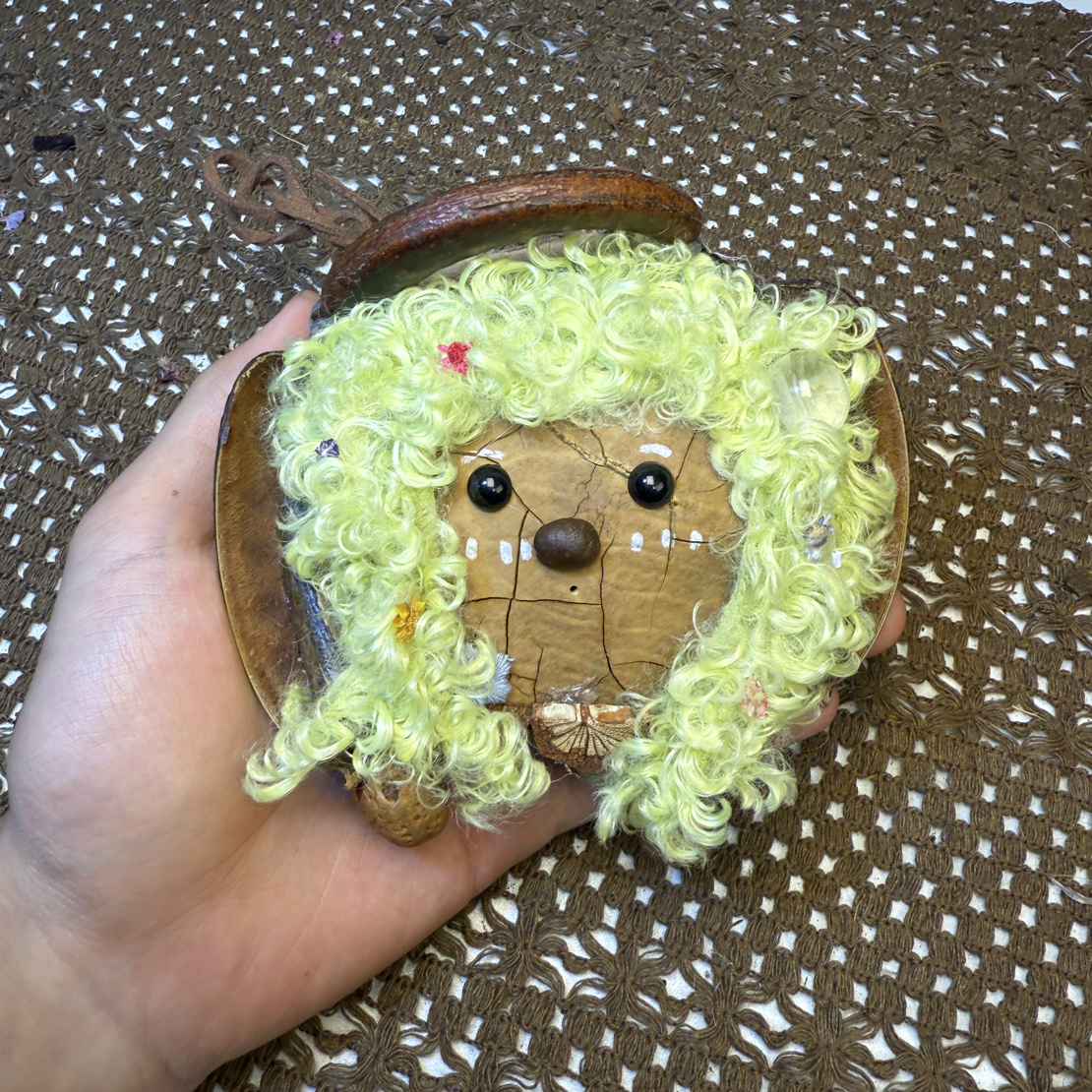 甜豆豆吖榼藤大豆荚专拍 默认瑕疵 可客服看视频听声音