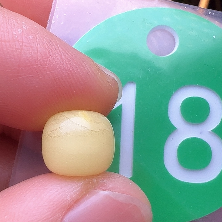 蜜蜡裸石未镶嵌金沙9.3m m