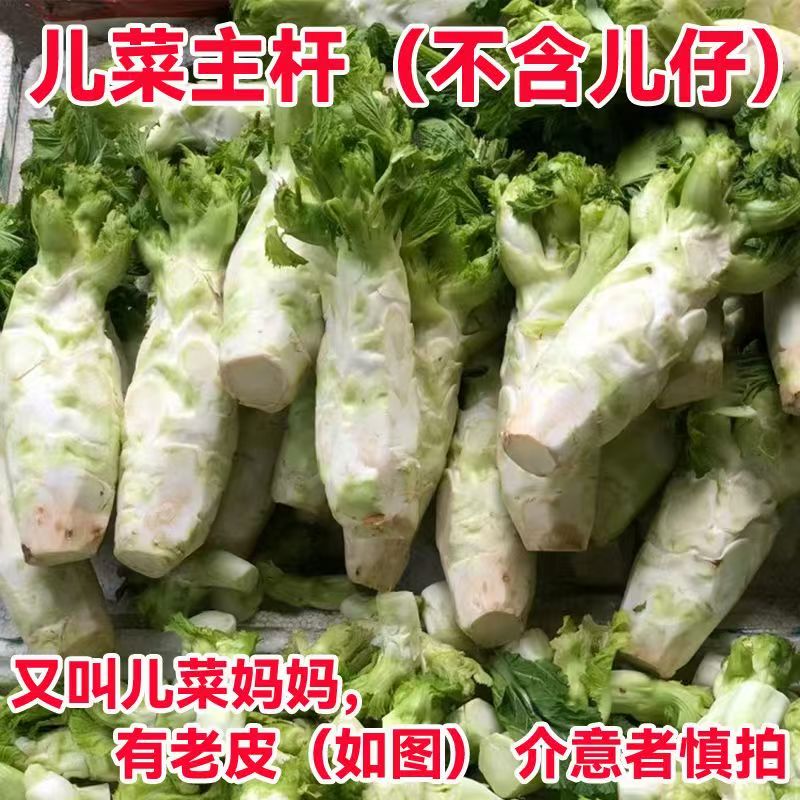 新鲜四川农家儿菜母子芥菜杆杆蔬菜现摘现发(只发主干）