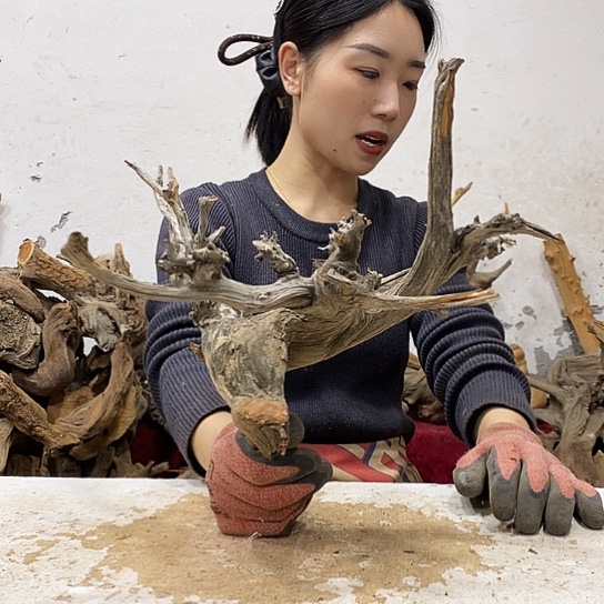 圣***常柏木我们都是好孩子