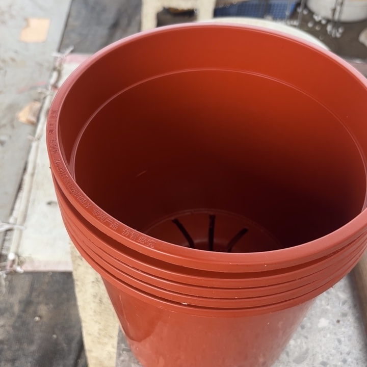 23公分红色圆盆6个