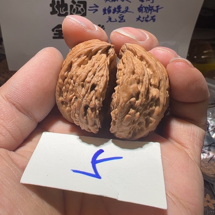 核桃全品无修半壁江山