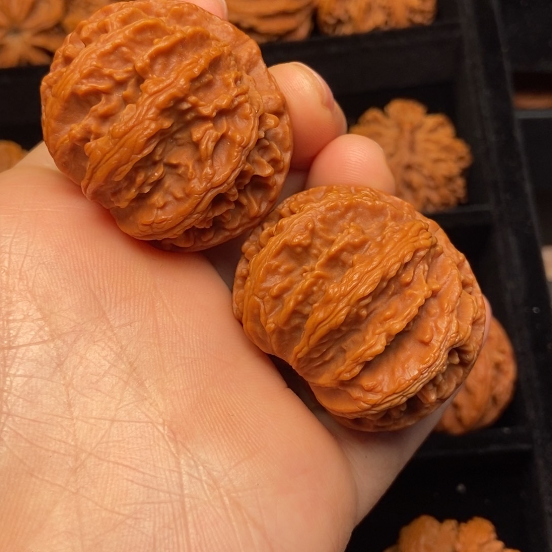 文玩核桃把件秦岭山脉核桃