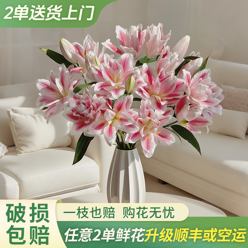 【大聪明卖花】火星之约重瓣百合 任意两单花材升级顺丰冷链或德邦
