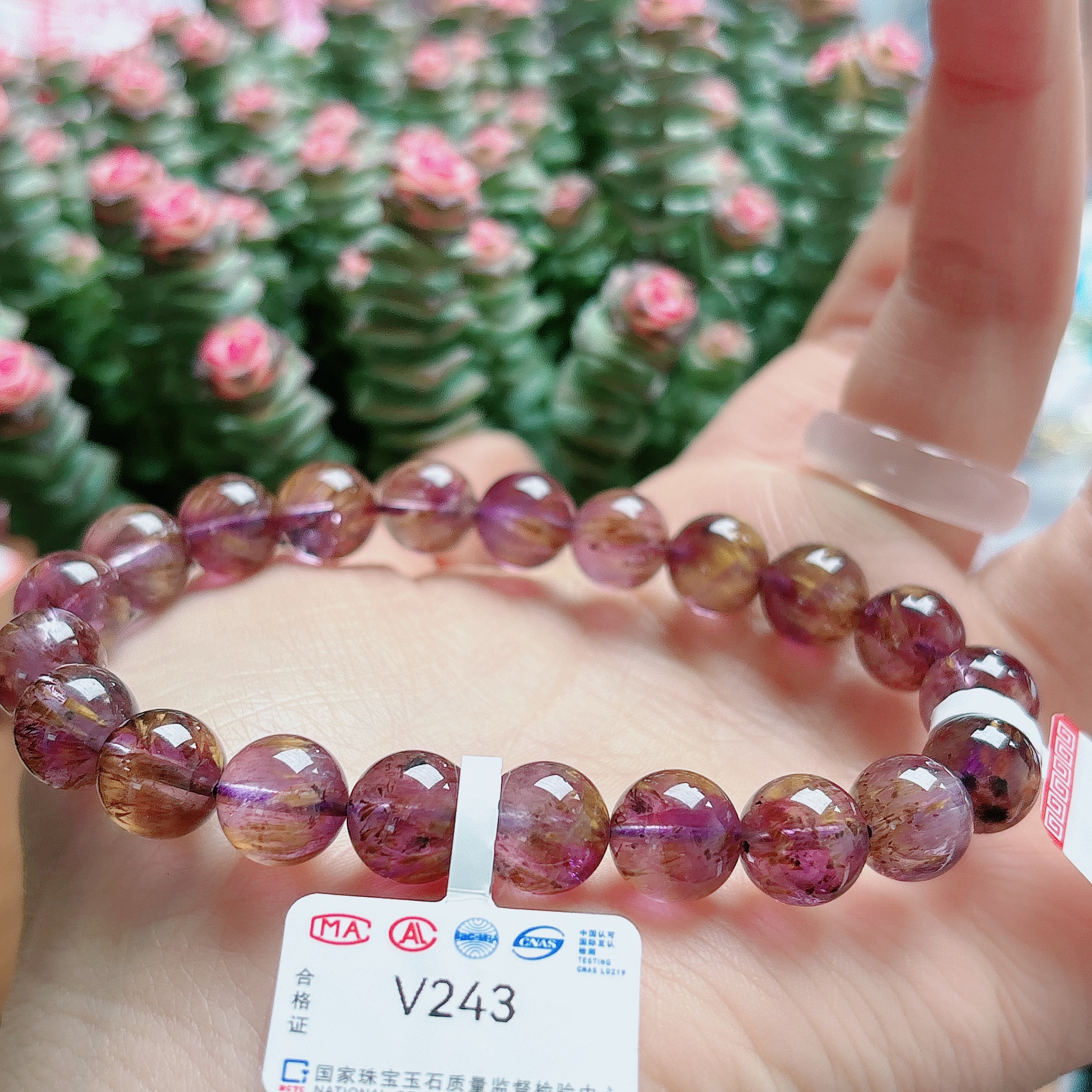 【阿波严选】天然水晶紫钛手链-V243