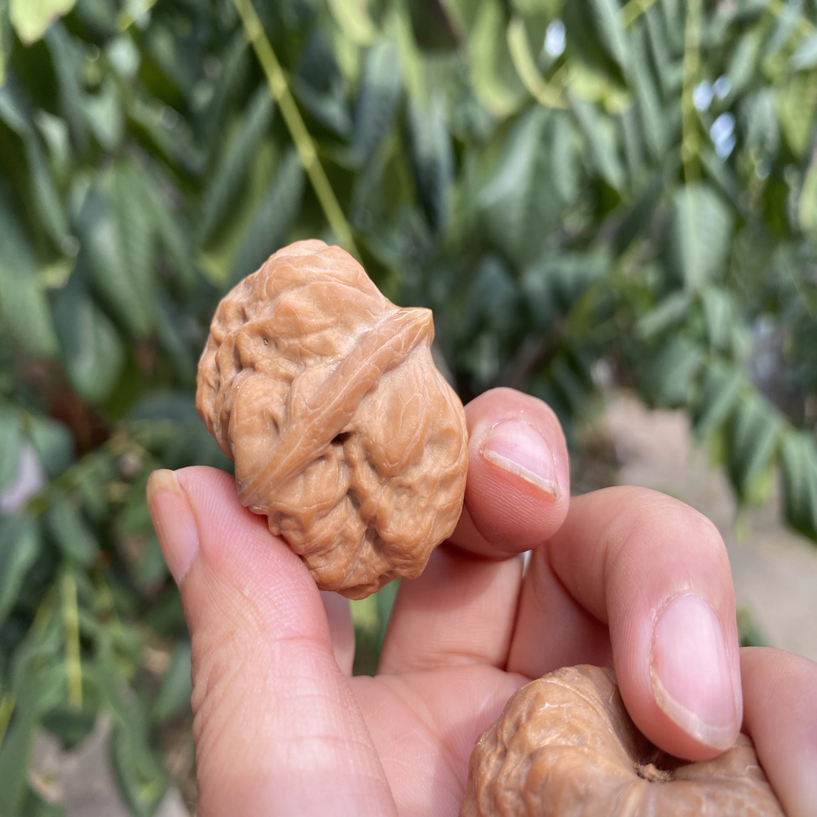 文玩核桃精品高端小众古蟾三角蛙