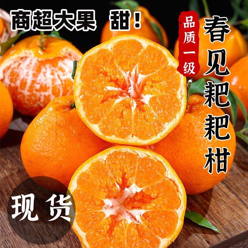 四川春见耙耙柑新鲜水果当季丑八怪橘子粑粑柑桔子3/5/8斤整箱