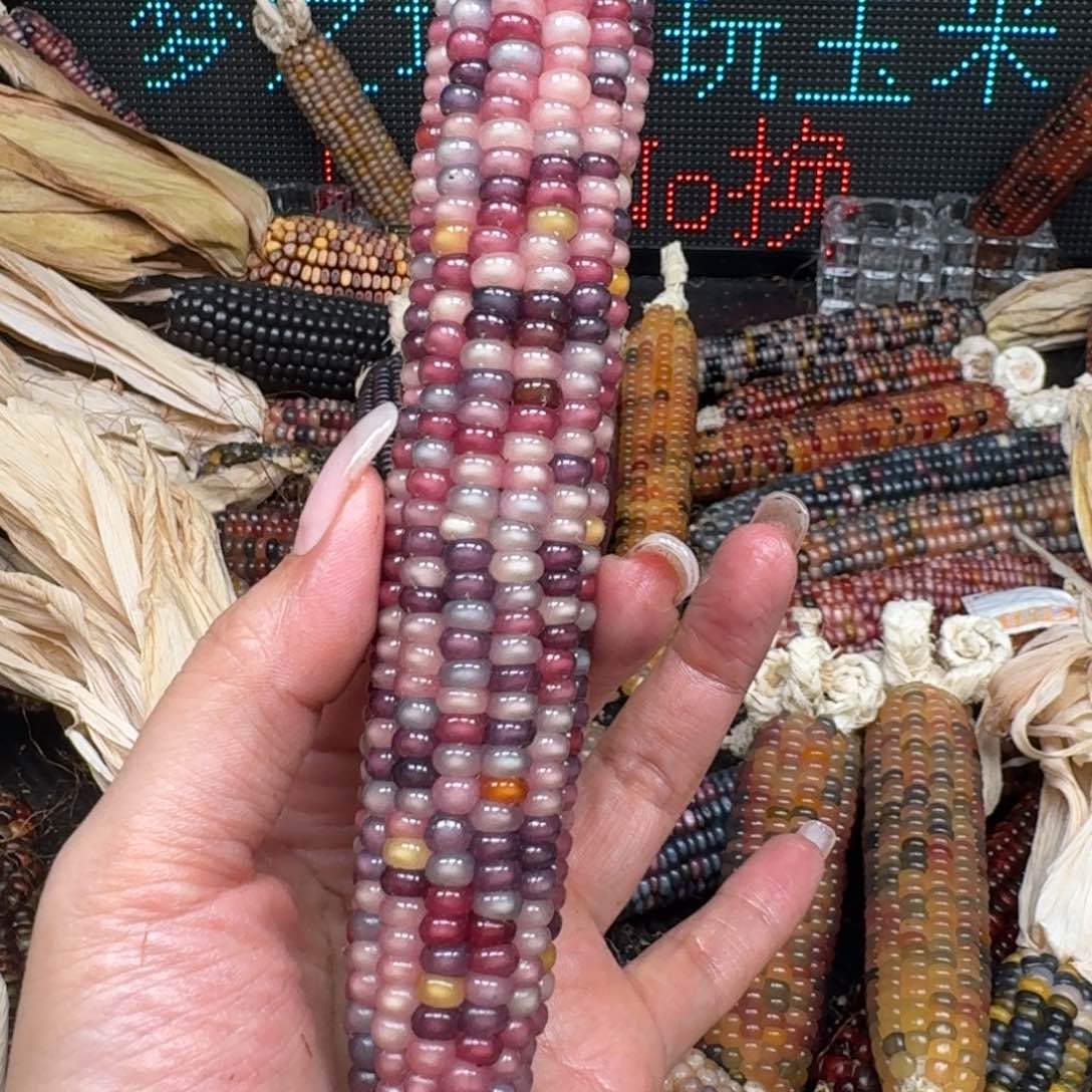 柏香籽/百香籽吊坠宋****?