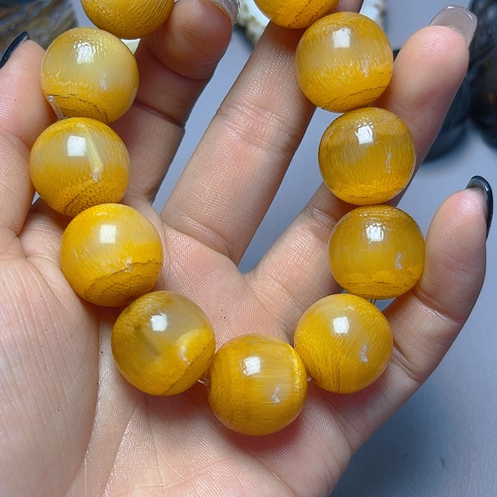 大果紫檀（缅甸花梨）