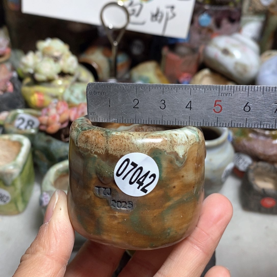 花盆拍3送一个小礼物