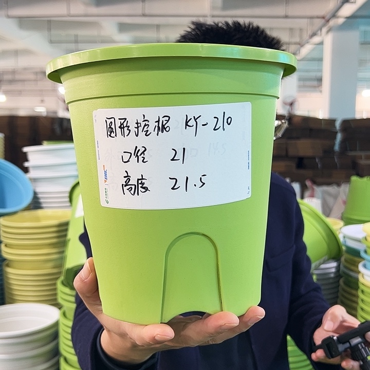 正品圆控口21高21果绿无托8只