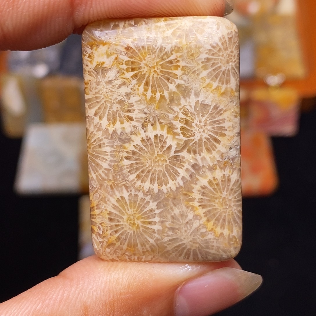 看***啥合金珊瑚玉硅化玉