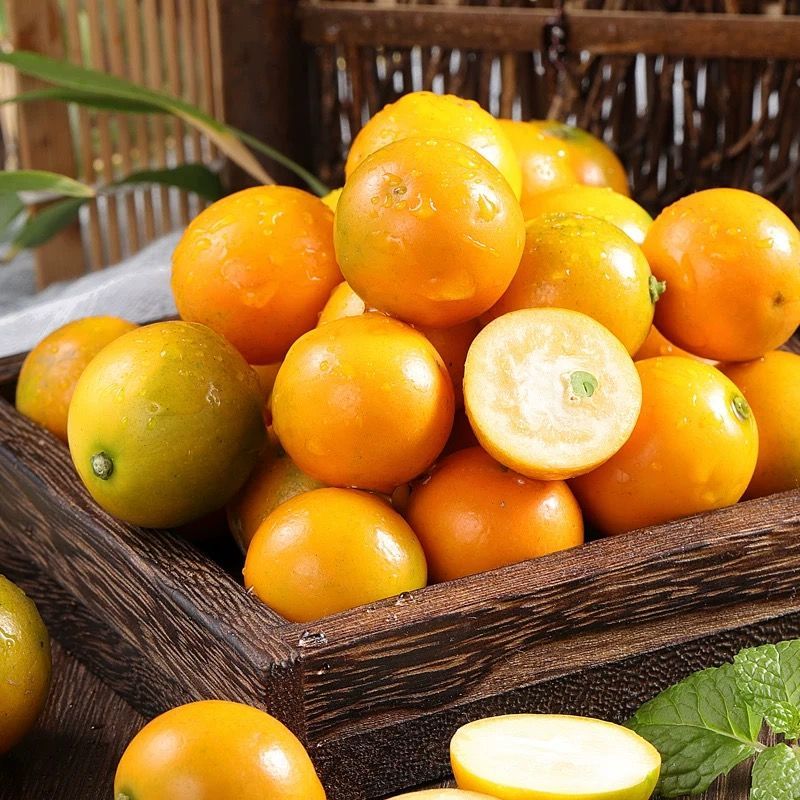 {脆甜}阳朔金桔-1斤广西壮族自治区