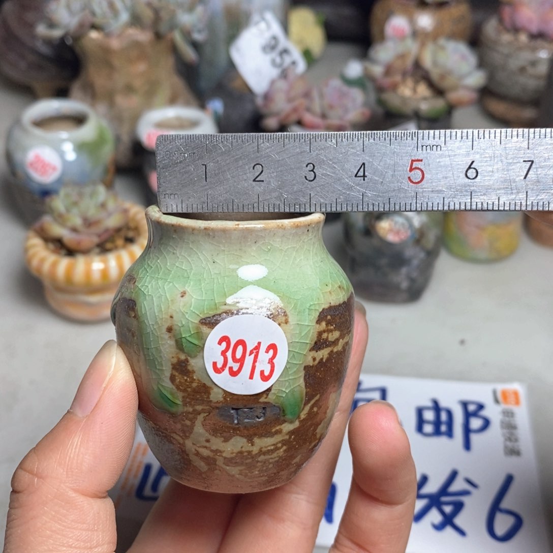 拍5送一个小礼物