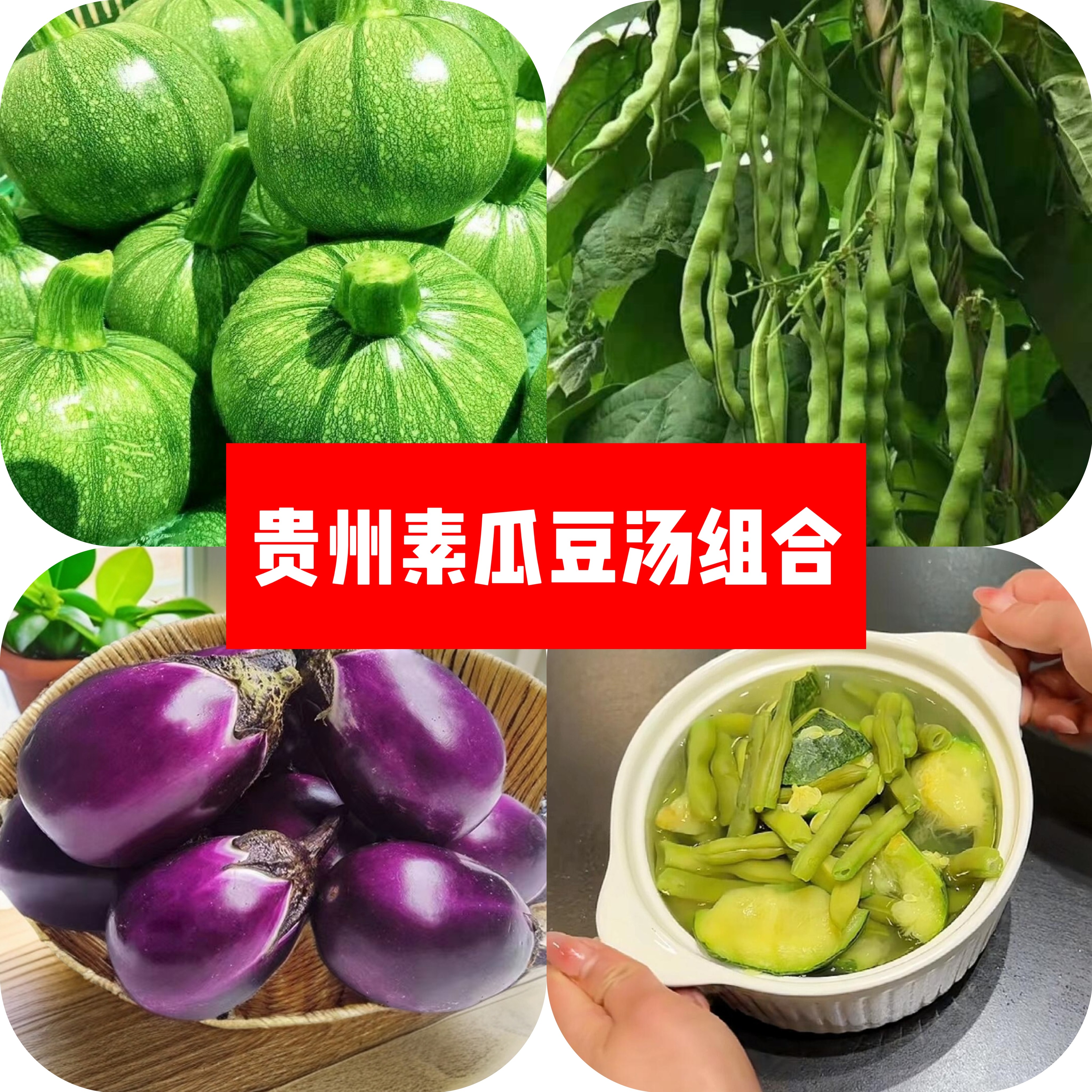 贵州素瓜豆汤组合装高原嫩南瓜小圆瓜四季豆棒豆圆茄子贵州水煮菜