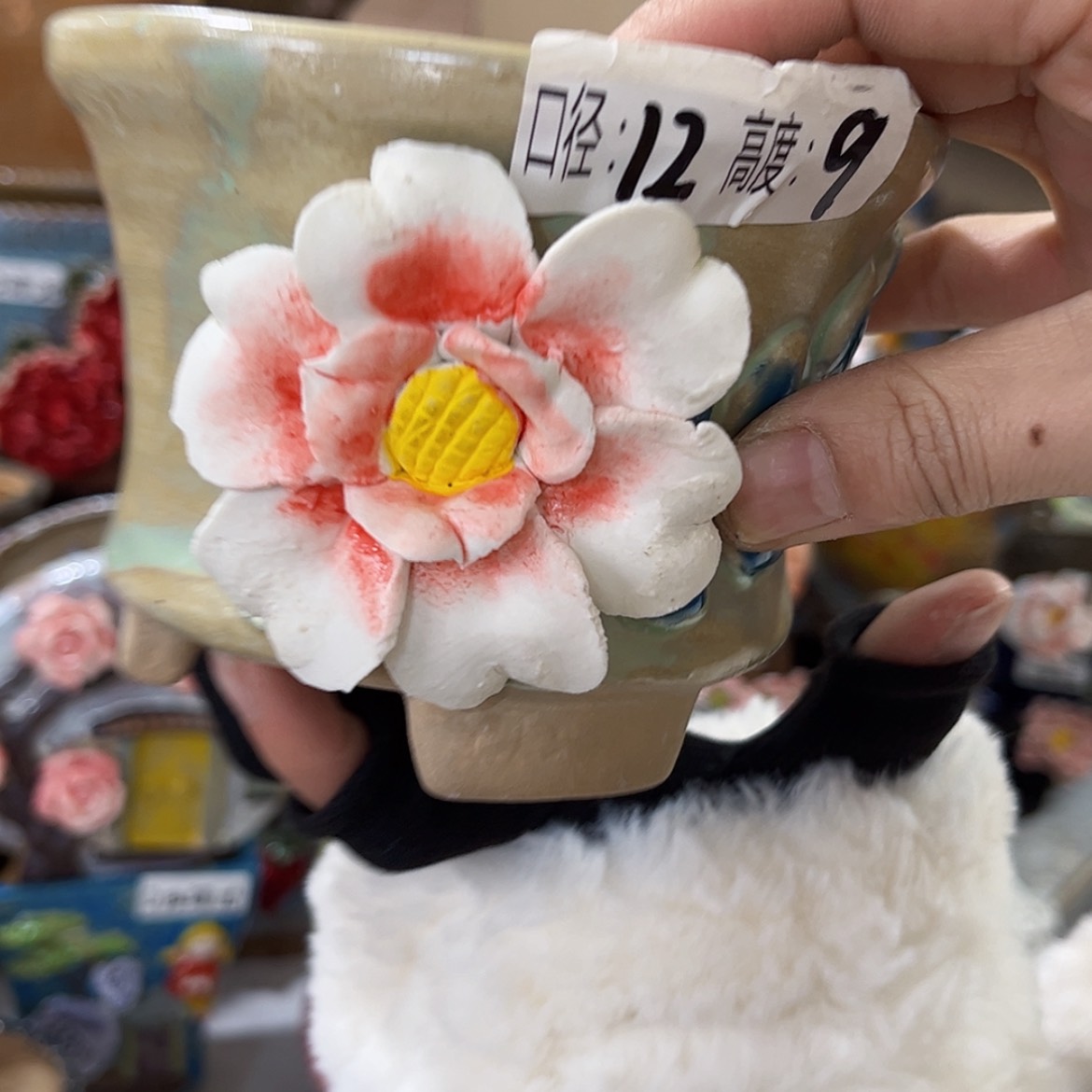 【闪购商品】红陶福利