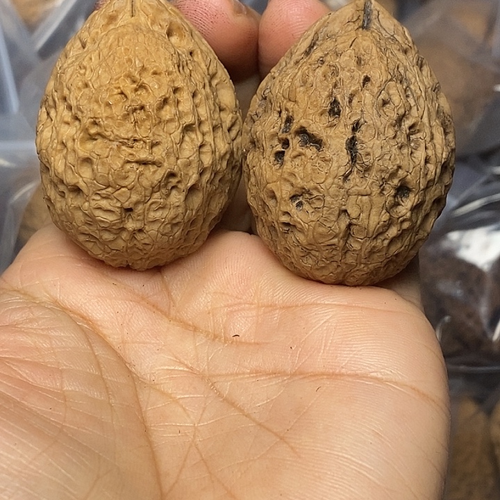 把件文玩核桃云南铁核桃95