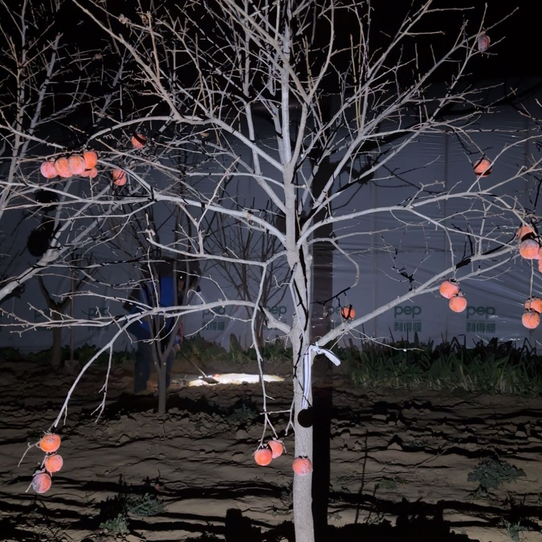 用***5完全开放两颗888888