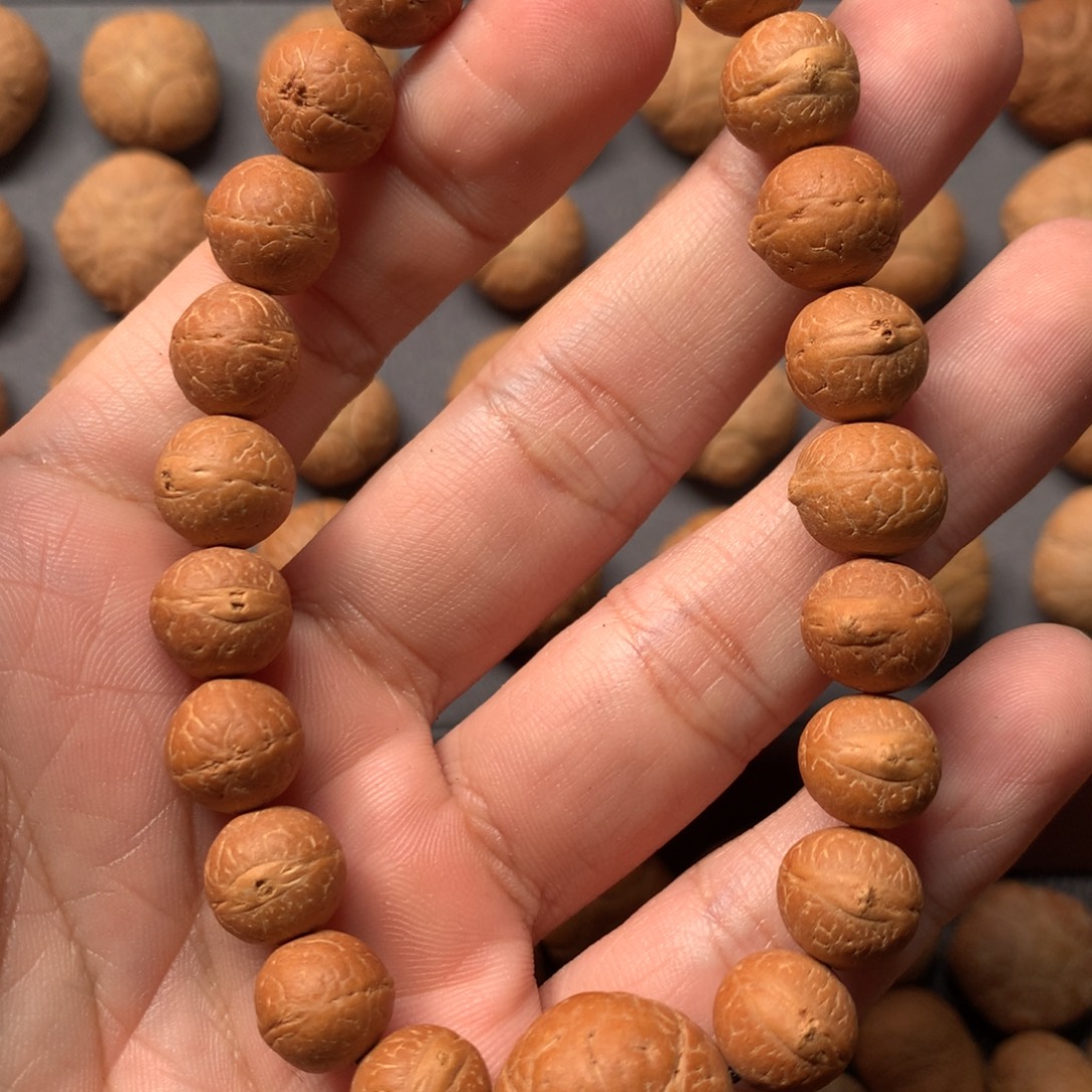 五***肉吊坠凤眼菩提10.1-10.6尼泊尔小凤眼菩提手串