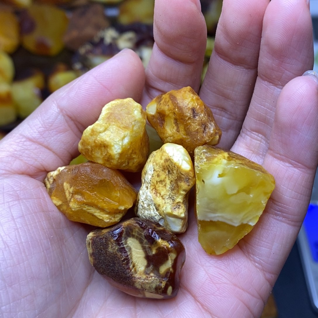 未镶嵌定制蜜蜡R***n胖