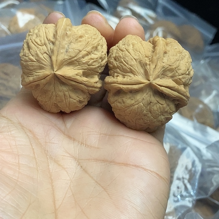 木质类云南铁核桃+45