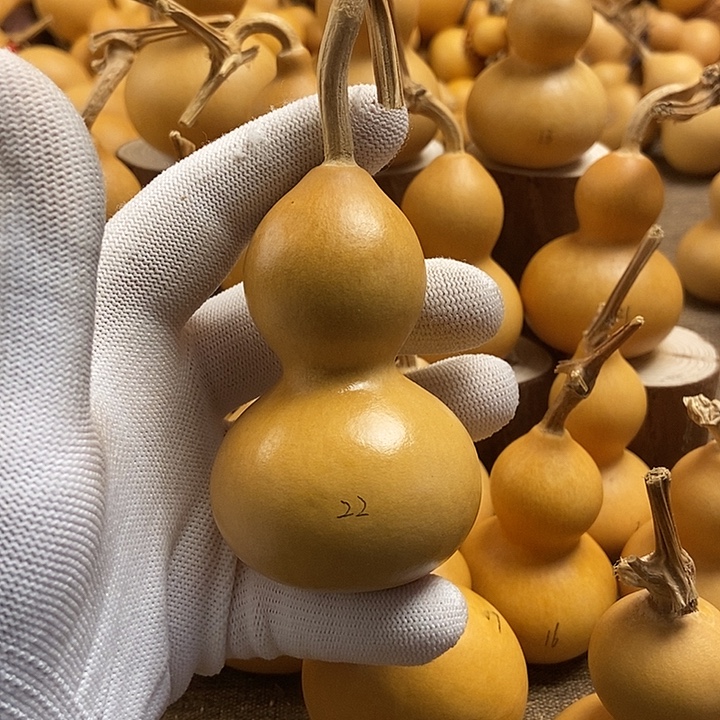 文玩葫芦 完美主义者 慎拍22