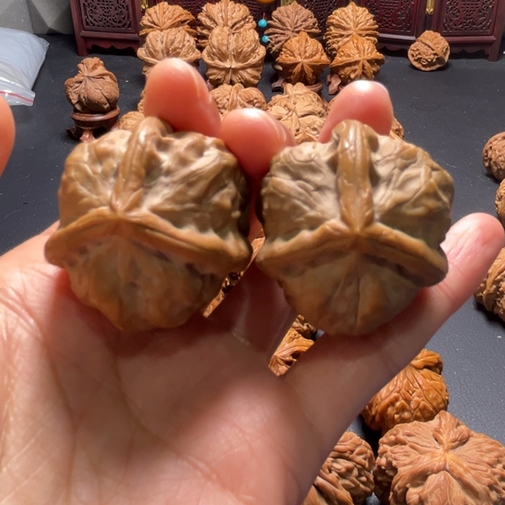 古蝉三棱36尺寸核桃哈哈哈哈哈哈
