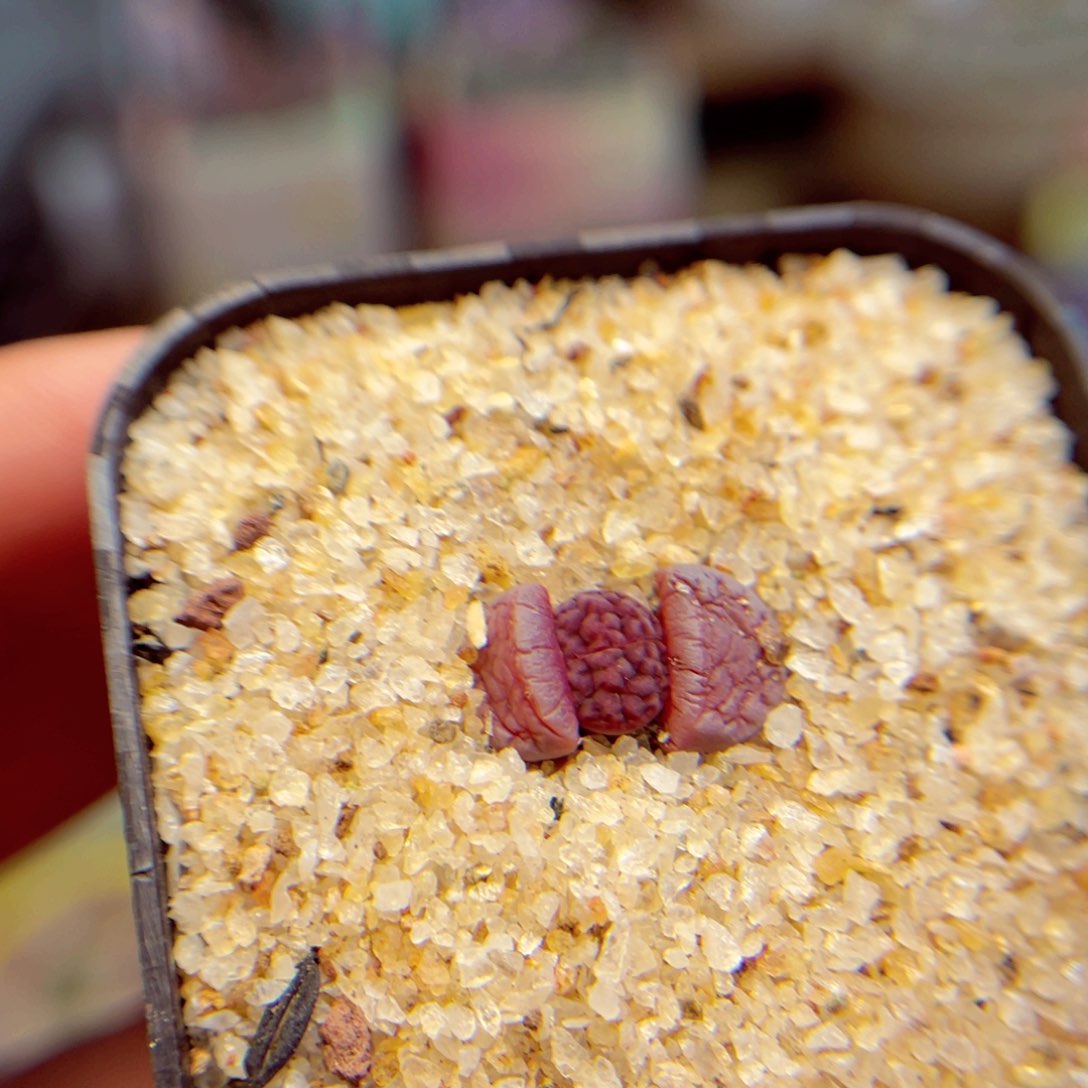 301。8888888888888888888