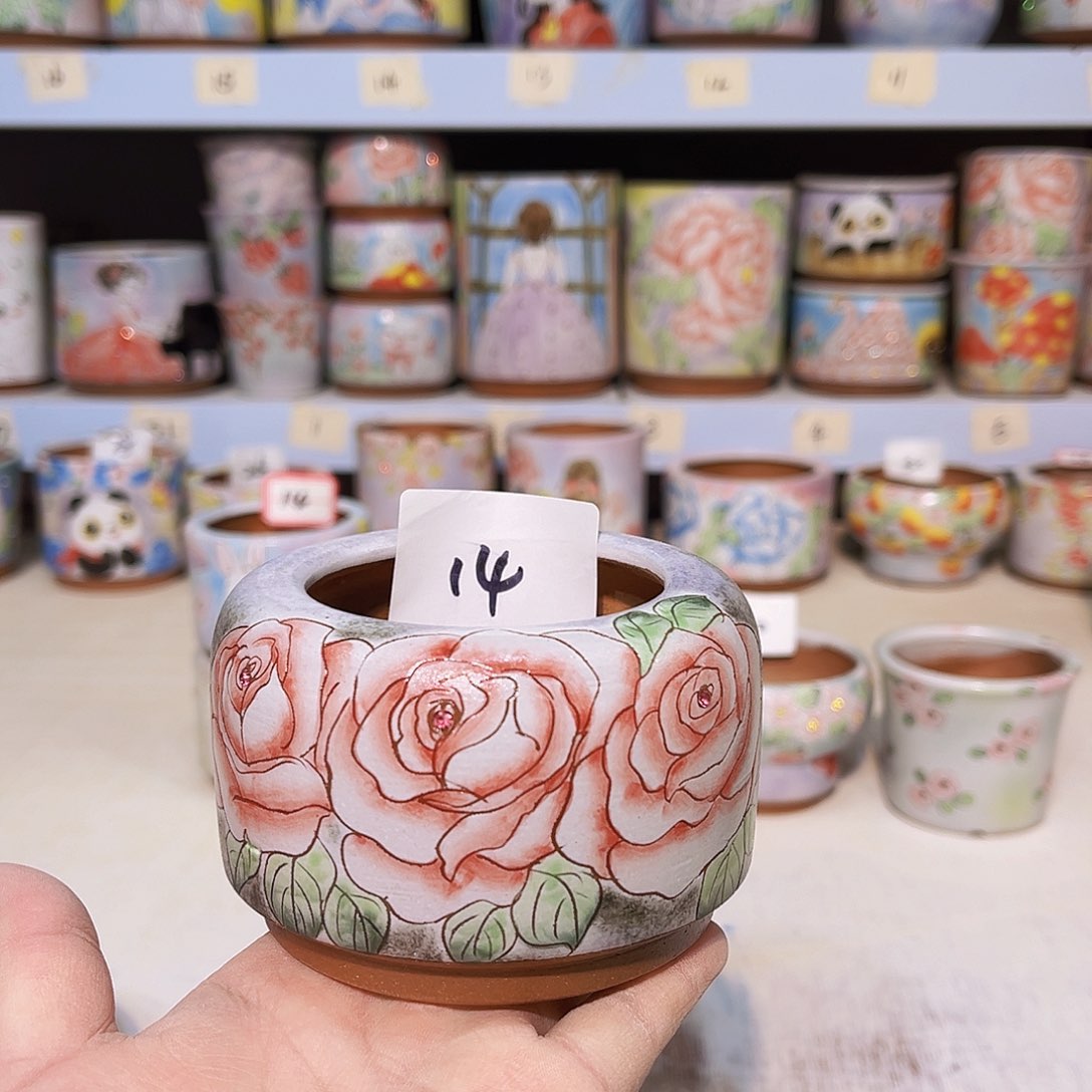 所见所得一物一拍花盆多肉植物手绘盆14