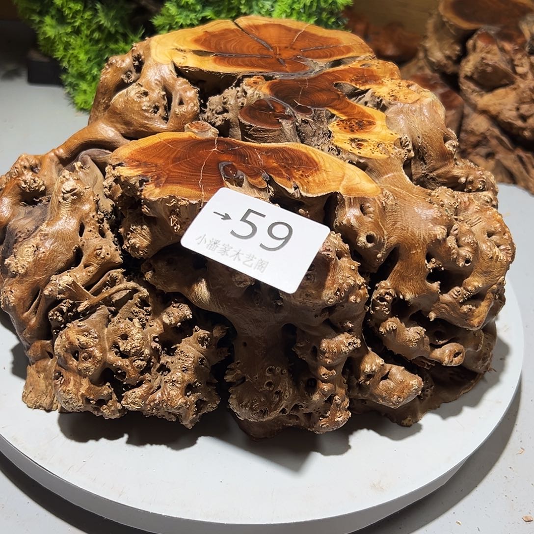 山***廓香榧木麻梨疙瘩……