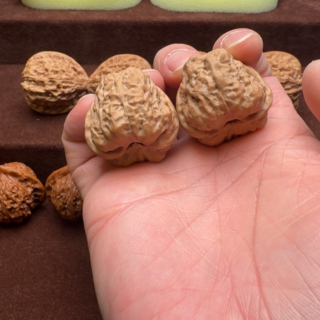 文玩核桃把件蛤蟆36