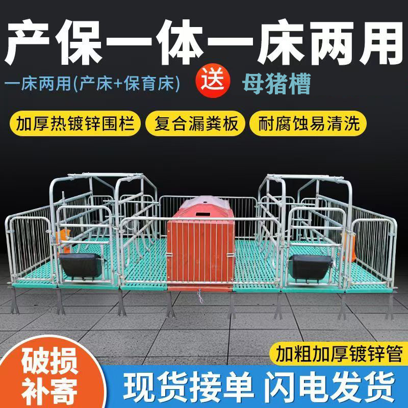 升级设计复合母猪产床分娩床双体产保一体保育床养殖设备