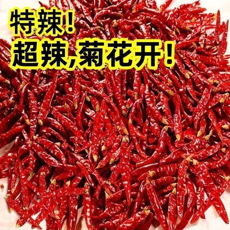 【新货】精品干辣椒红辣椒朝天椒四川辣椒贵州辣椒农家干辣椒调味品
