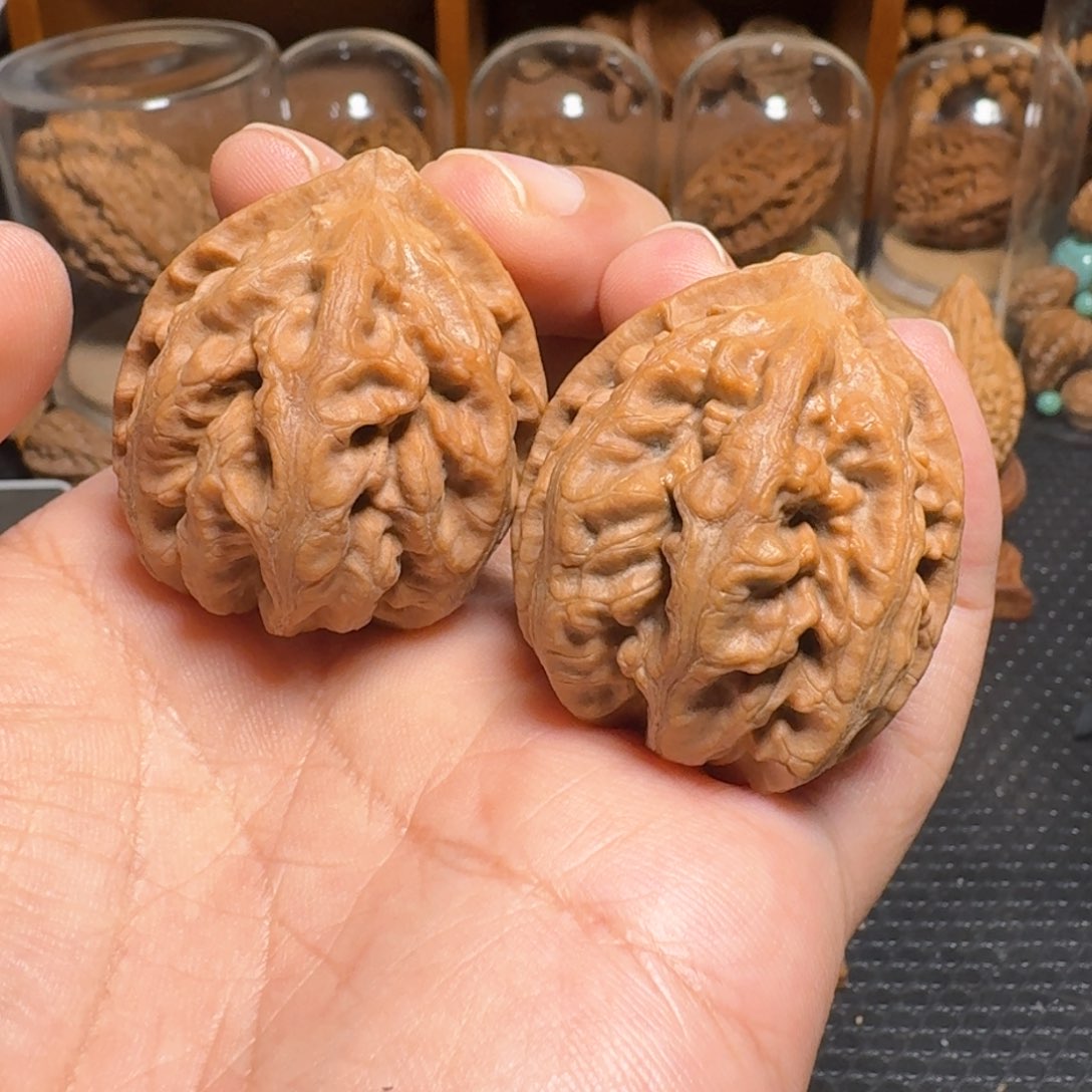 文玩核桃把件蜥蜴纹大平底