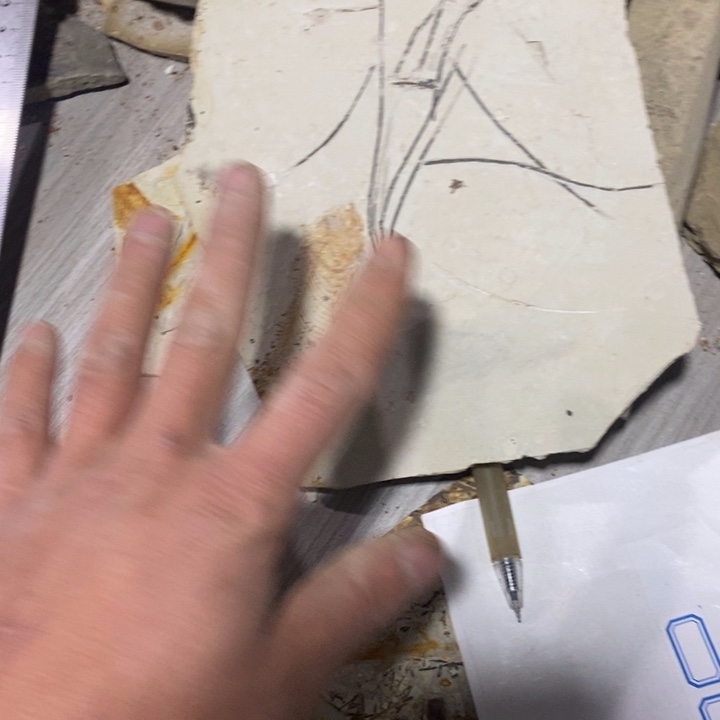 科***钱有机玻璃工艺品收藏品摆件