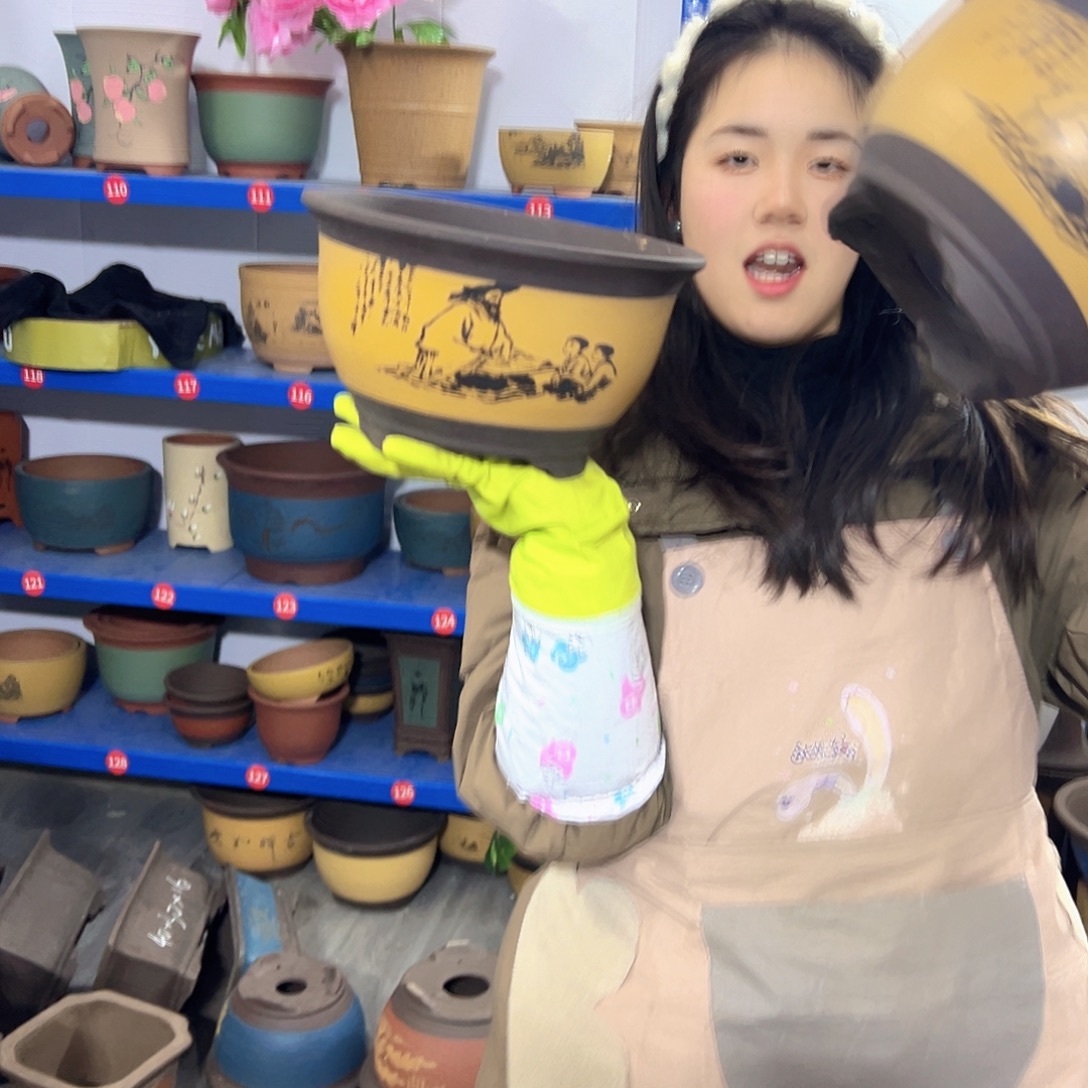 21+21黄色孔夫子三角金钟