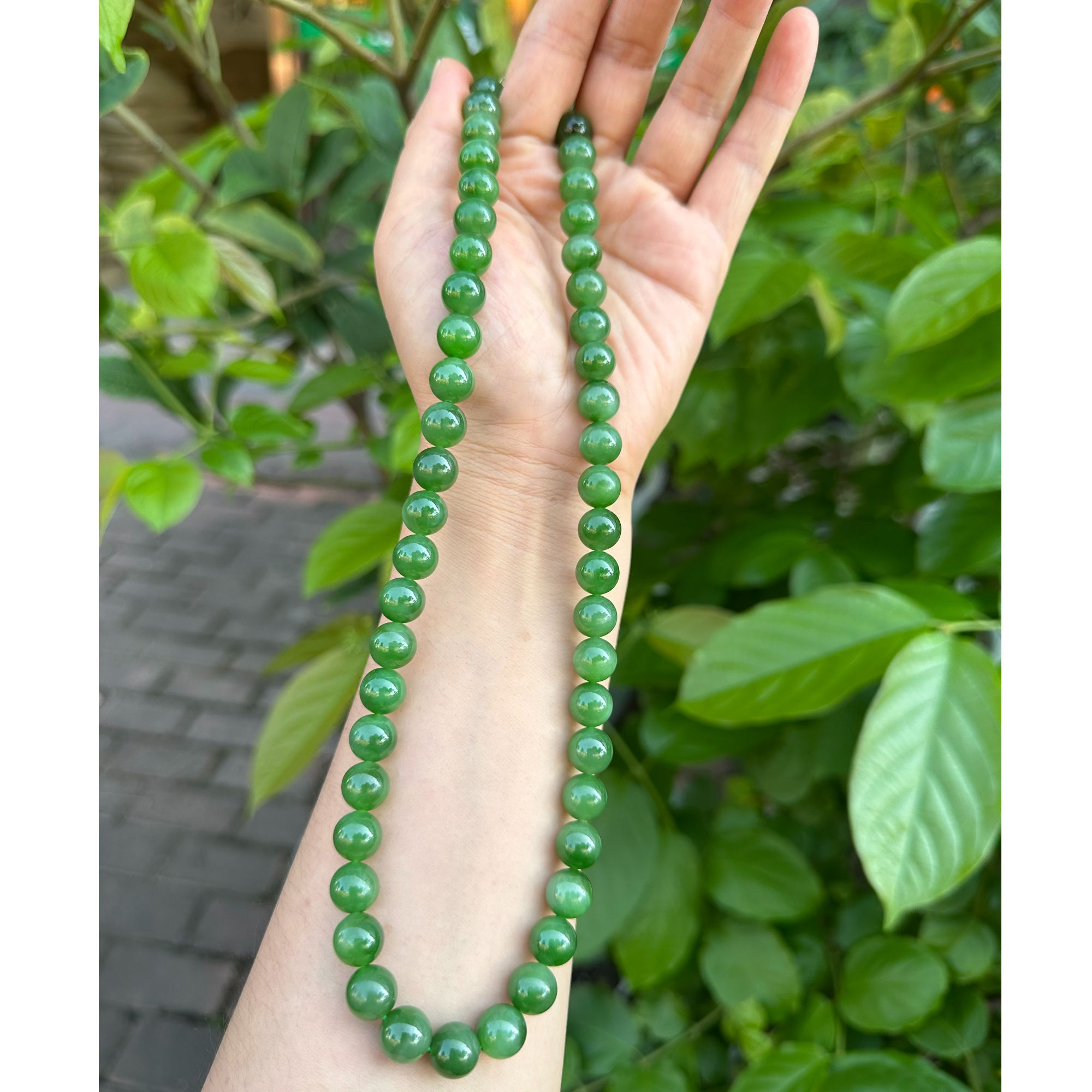 和田玉阳绿项链卡10（多样性发其一）