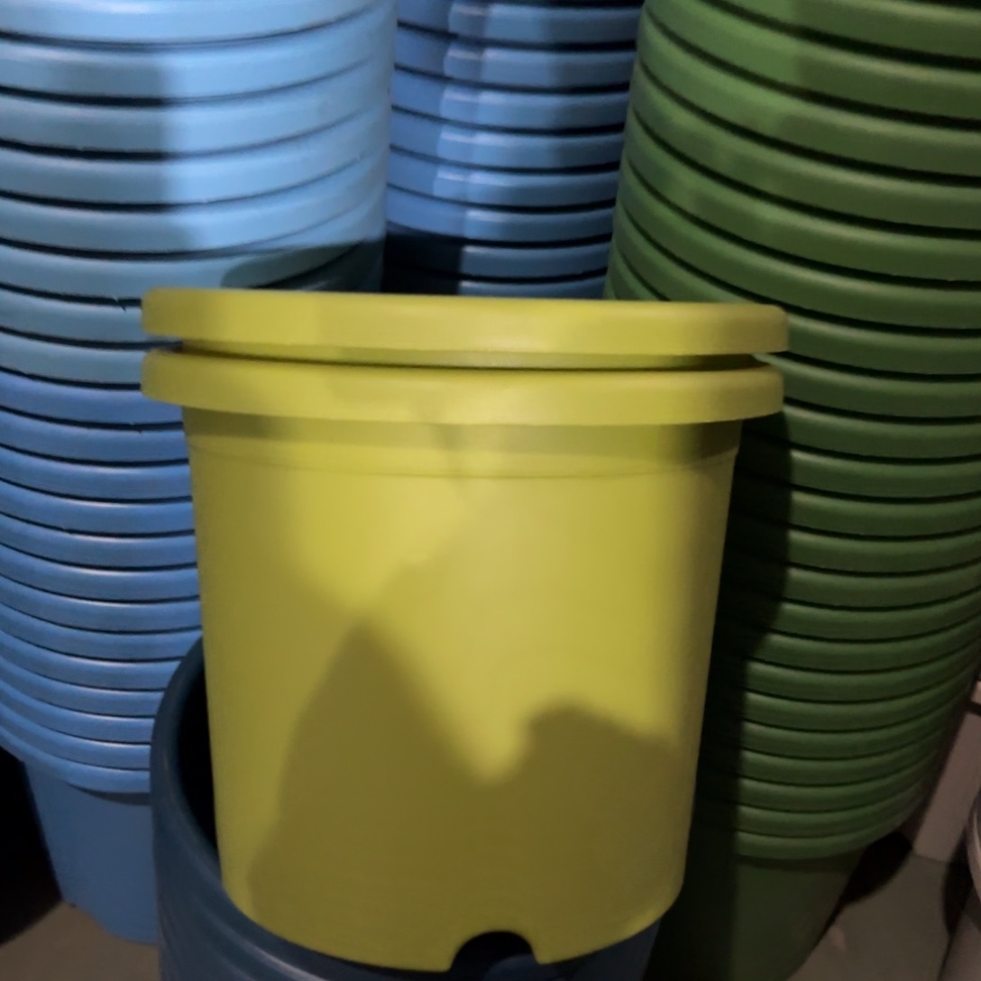 树脂特价5#无拖果绿6个