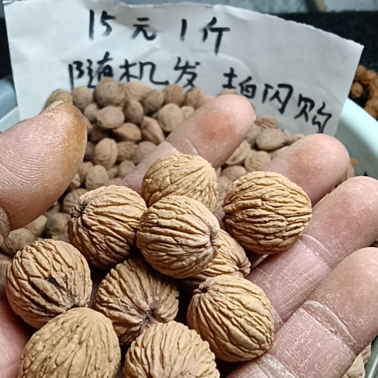 不***老吊坠桃核猴头散仔大核打孔