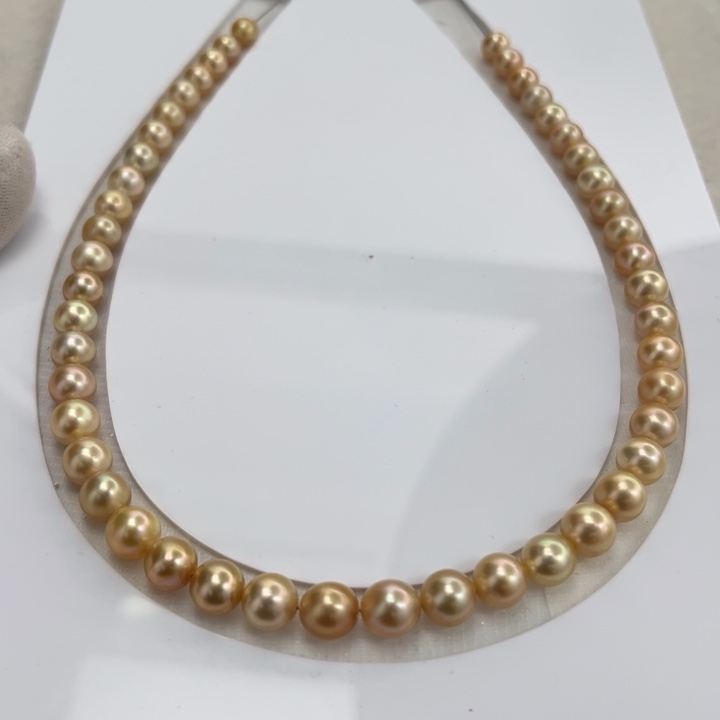 海水珍珠未镶嵌金珠项链7-9mm