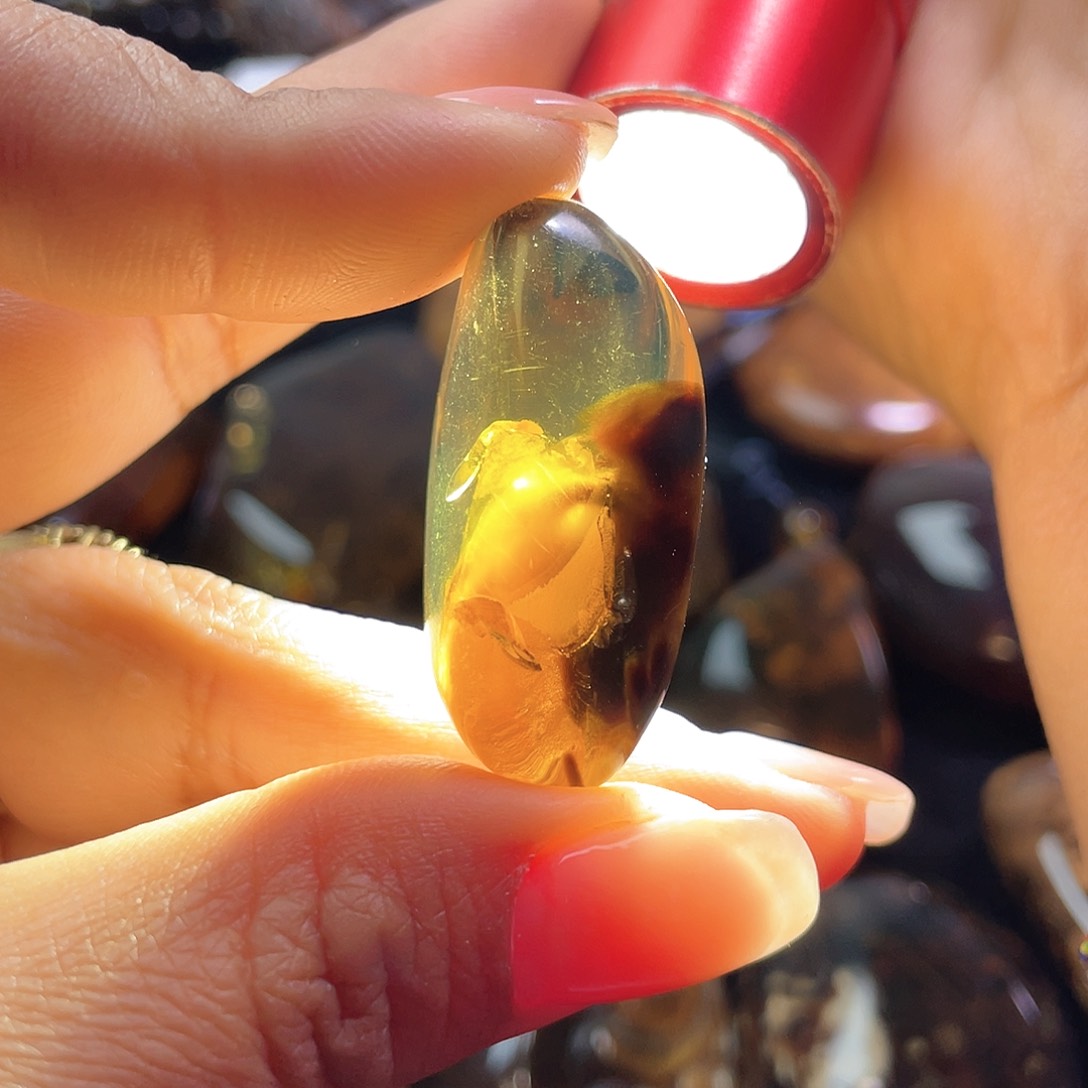 琥珀裸石未镶嵌。