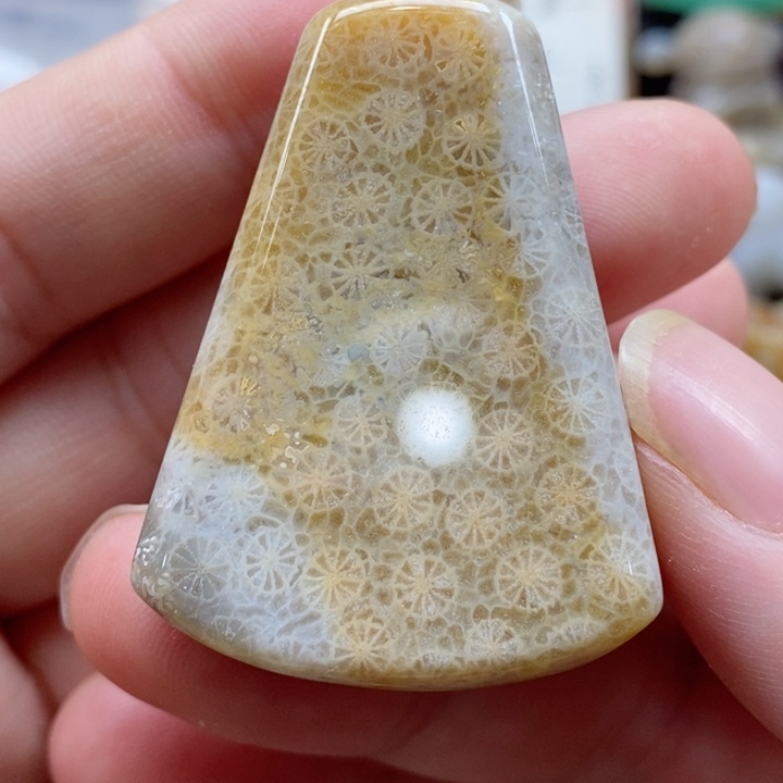 硅化珊瑚（珊瑚玉）颈饰未镶嵌