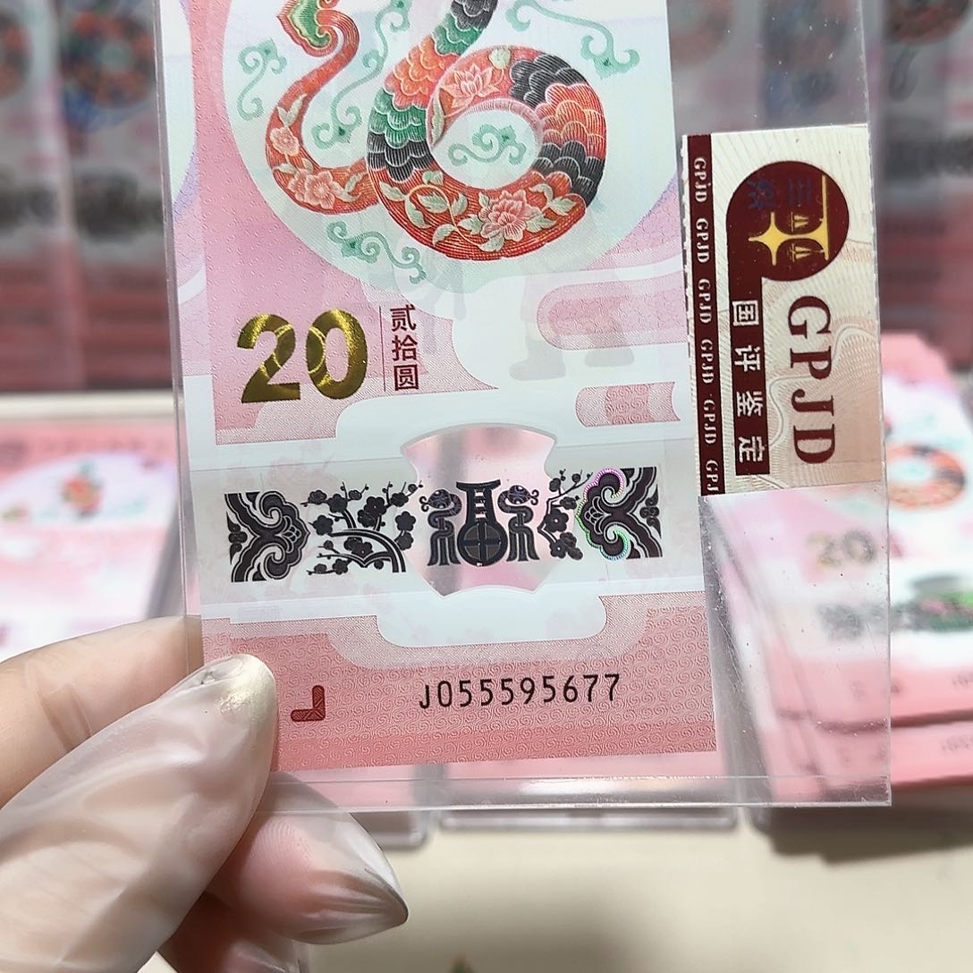 纸055595677。。。。。。。。