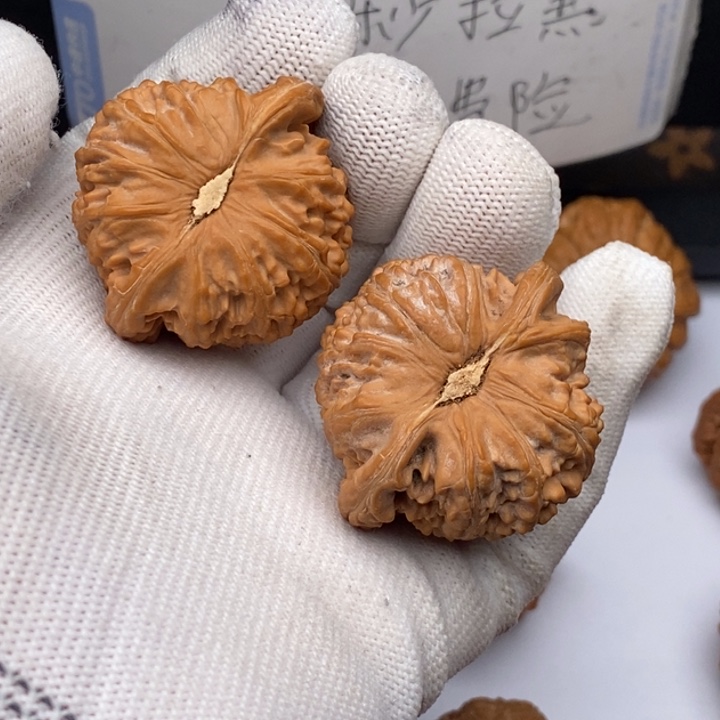 把件文玩核桃1**5白狮子41
