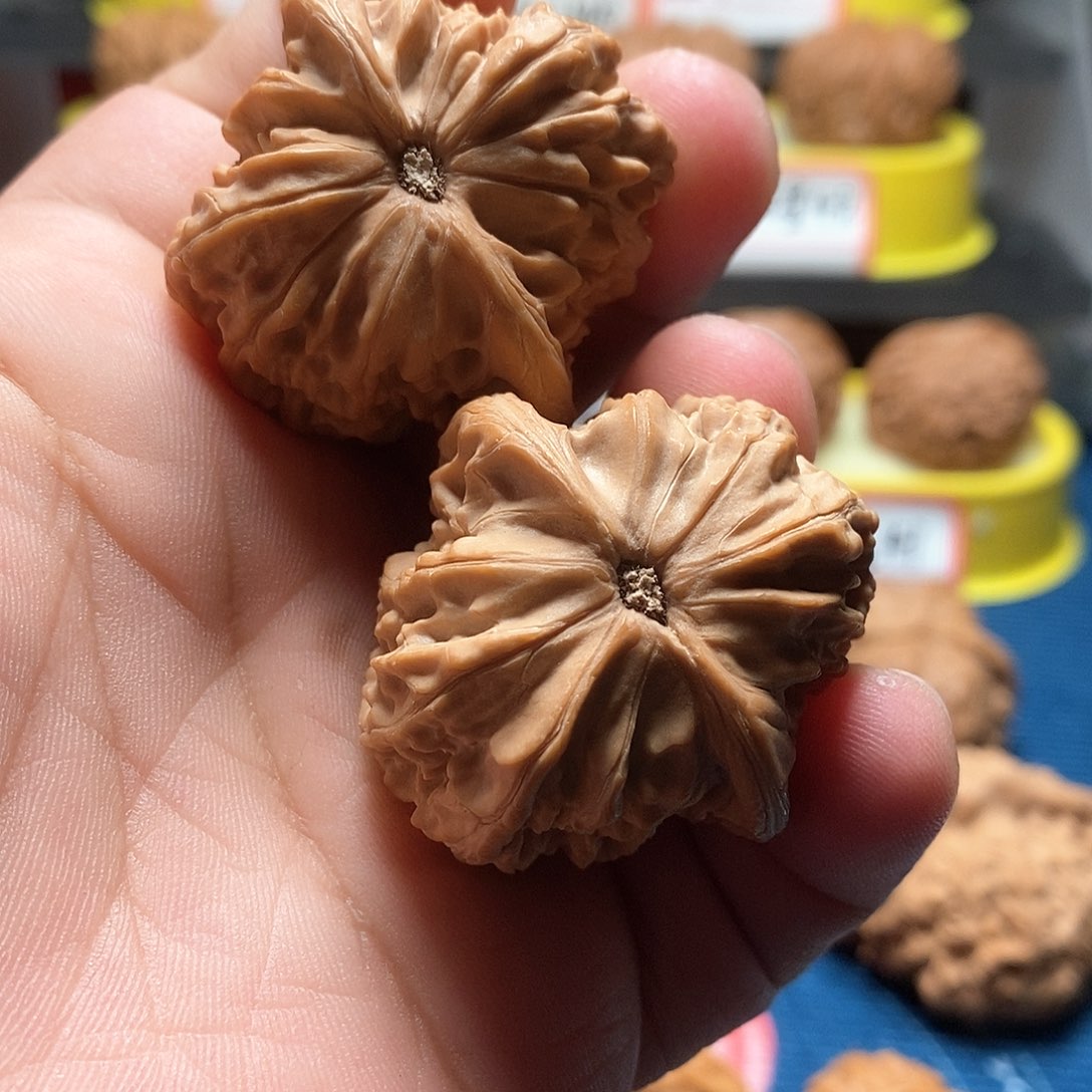 文玩核桃吊坠T*38全品正磨